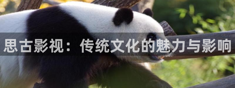 喜隆多保利影院今日影讯：思古影视：传统文化的魅力与影响
