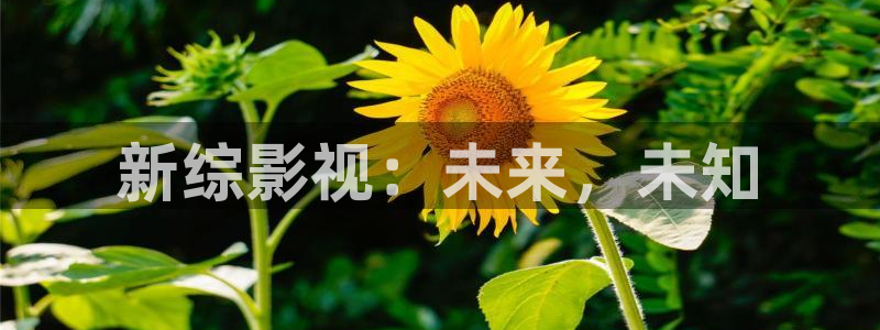 合肥保利影院：新综影视：未来，未知