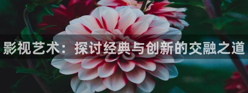 上海保利影城：影视艺术：探讨经典与创新的交融之道