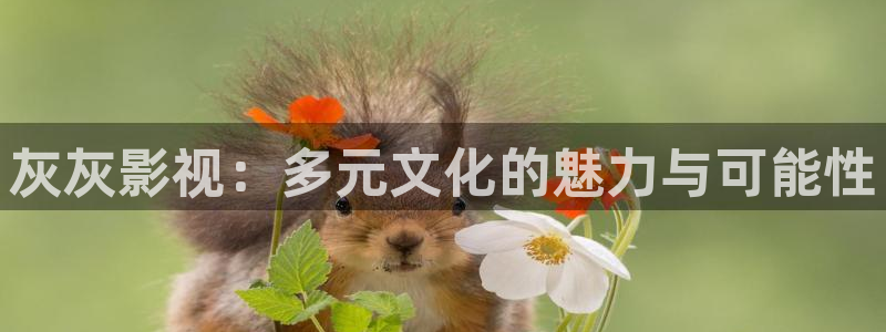 保利影业：灰灰影视：多元文化的魅力与可能性