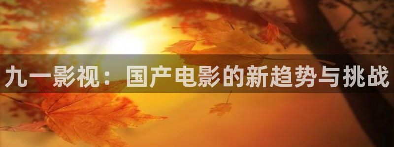 天津保利国际影城今日影讯：九一影视：国产电影的新趋势与挑战